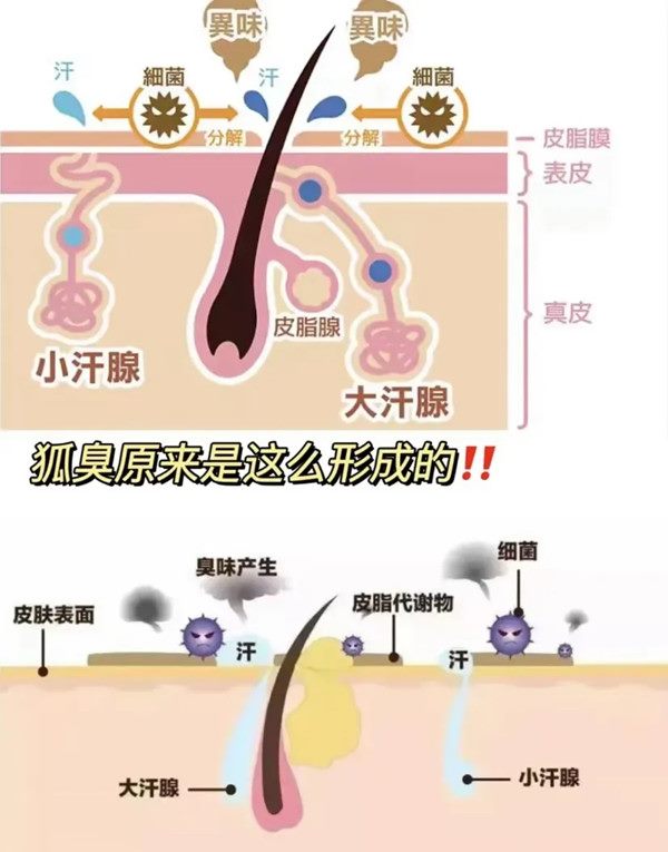 640 (1)_副本 640 (1)_副本