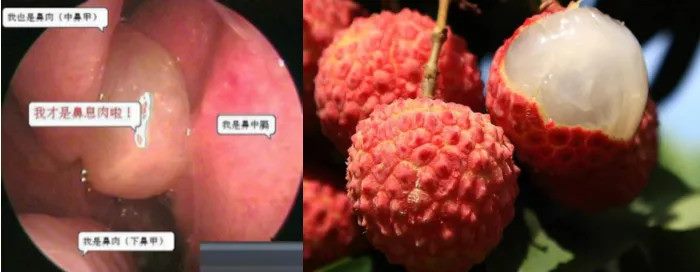 640_副本 640_副本