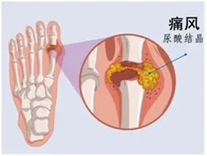 640_副本 640_副本