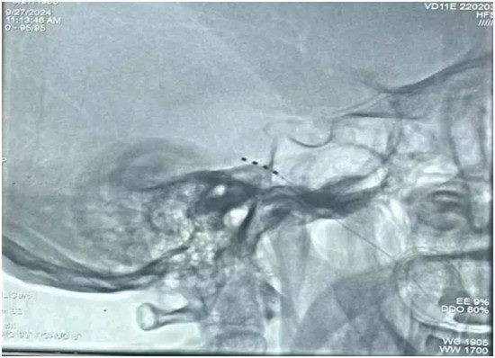 640_副本 640_副本