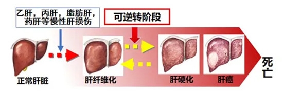 640_副本 640_副本