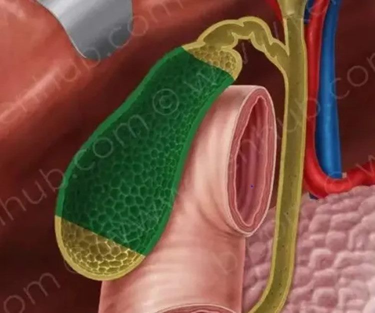 640_副本 640_副本