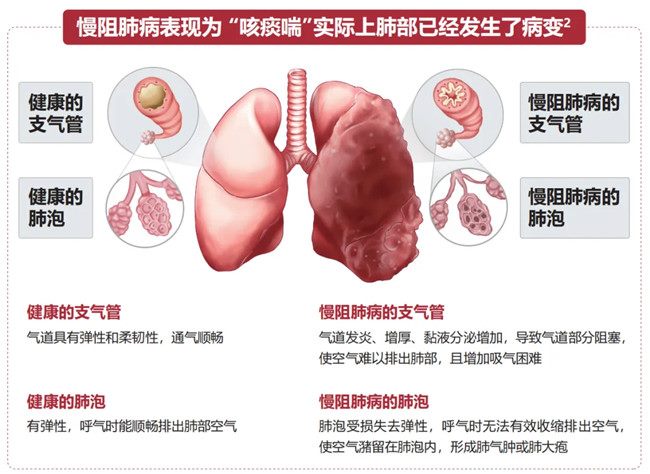 640 (2)_副本 640 (2)_副本