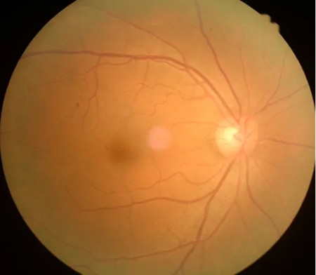 640 (2)_副本 640 (2)_副本