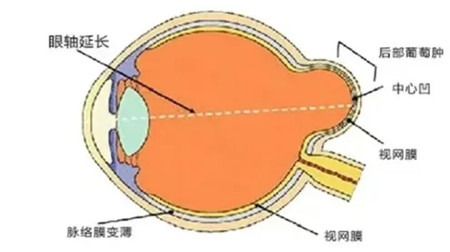 640 (4)_副本 640 (4)_副本