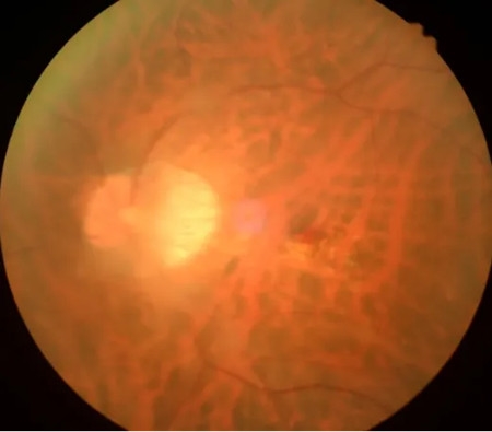 640 (7)_副本 640 (7)_副本