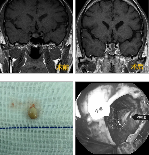 QQ截图20241206084043 QQ截图20241206084043