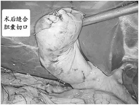 640 (4)_副本 640 (4)_副本