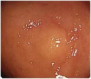 640_副本 640_副本