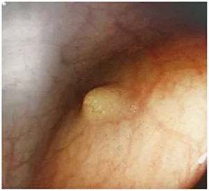 640 (1)_副本 640 (1)_副本