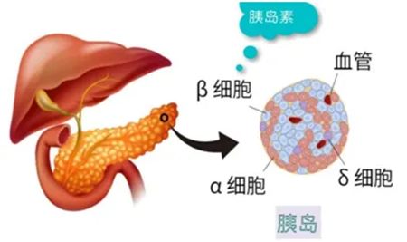 640 (3)_副本 640 (3)_副本