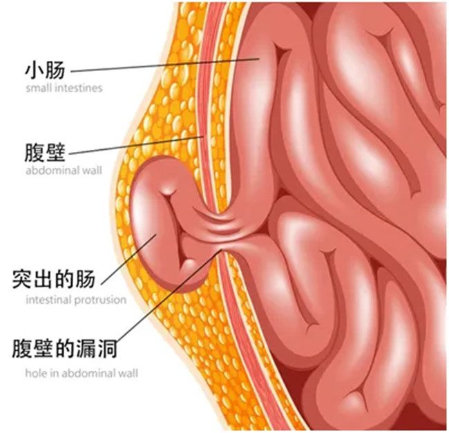 640_副本 640_副本