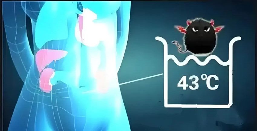 640 (1)_副本 640 (1)_副本