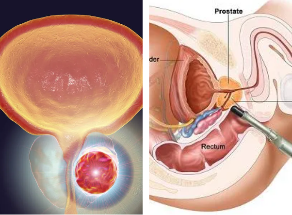 QQ截图20250117091102 QQ截图20250117091102