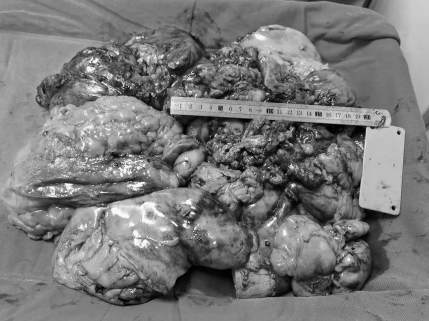 640 (1)_副本 640 (1)_副本