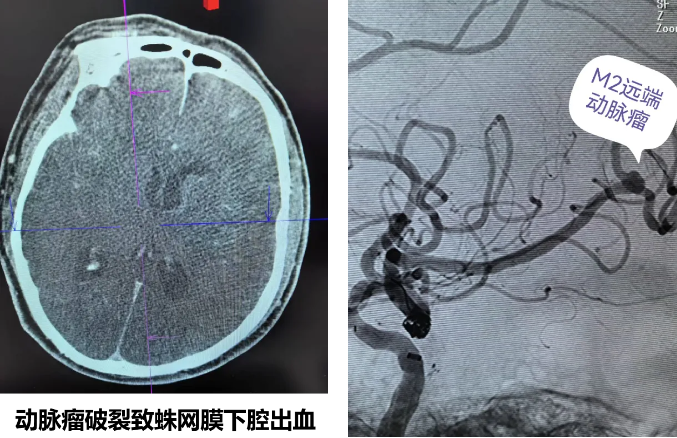 QQ截图20250215082701 QQ截图20250215082701