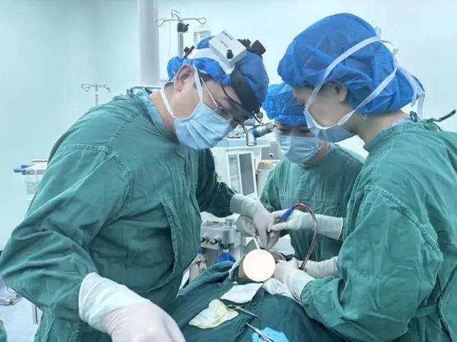 640_副本 640_副本