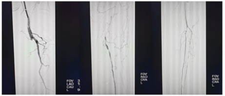 微信图片_20250225185417