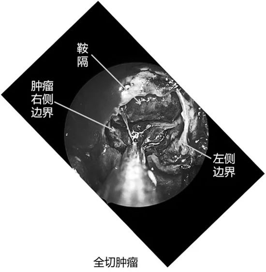 640 (3)_副本 640 (3)_副本