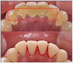 640_副本 640_副本