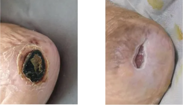 QQ截图20250416082205