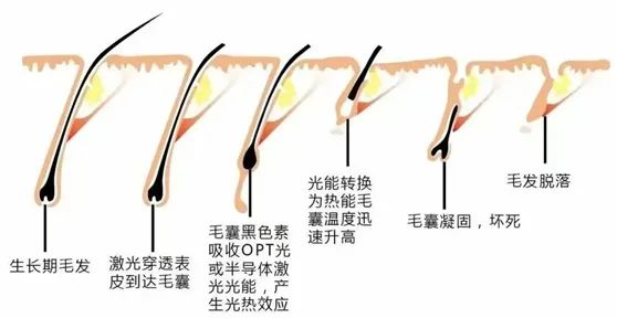 640 (3)_副本 640 (3)_副本