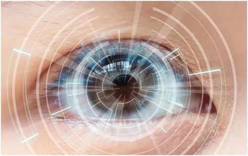 640_副本 640_副本