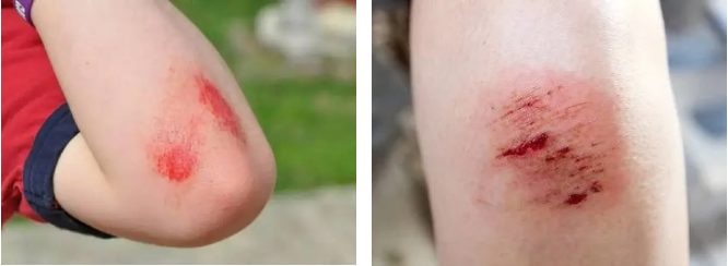 QQ截图20250731081002