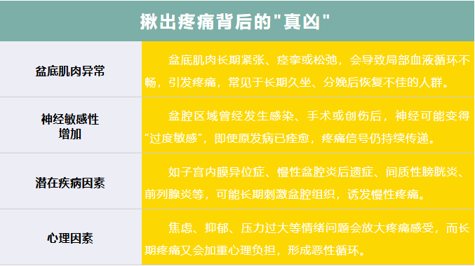 QQ截图20250813080958