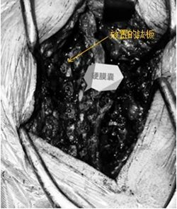 640 (1)_副本 640 (1)_副本