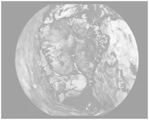 640 (1)_副本 640 (1)_副本