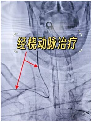 640 (2)_副本 640 (2)_副本