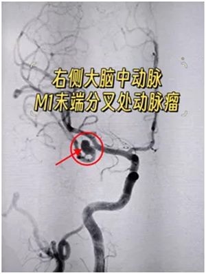 640 (3)_副本 640 (3)_副本