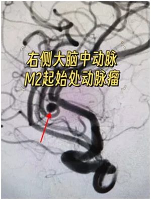 640 (5)_副本 640 (5)_副本