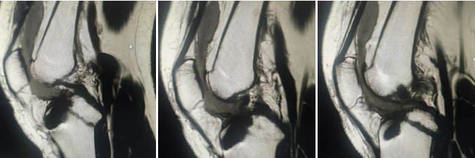 QQ截图20251015084032