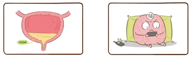 QQ截图20260209083041