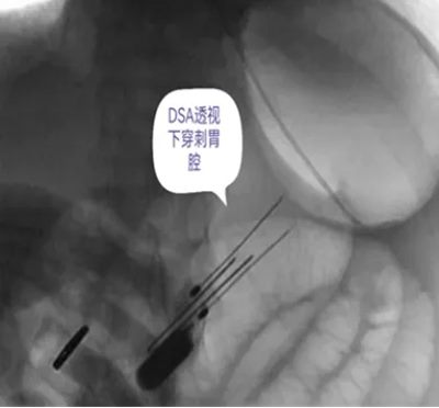 640_副本 640_副本