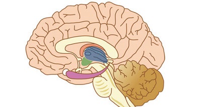“羊角风”？别慌！6.26专家天团送你“抗癫”超能力！